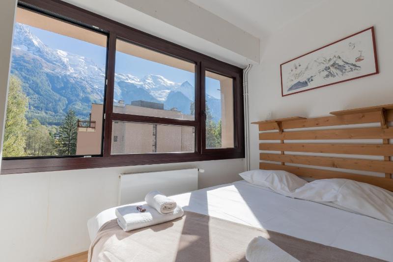 Appartement lumineux à Chamonix avec vue imprenable sur Mont Blanc et parking - image 12