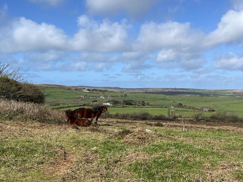 Sancreed House Cottages - image 42