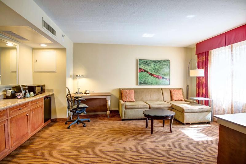 Hilton Garden Inn Tampa Ybor Historic District - image 28
