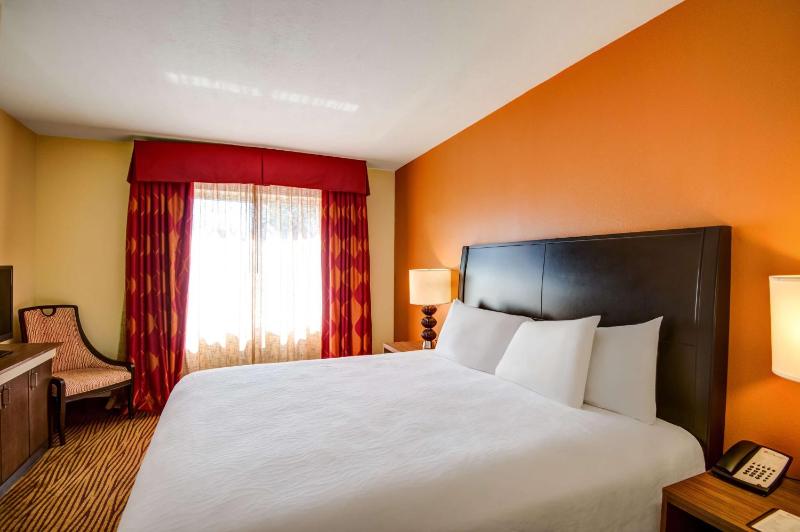 Hilton Garden Inn Tampa Ybor Historic District - image 23