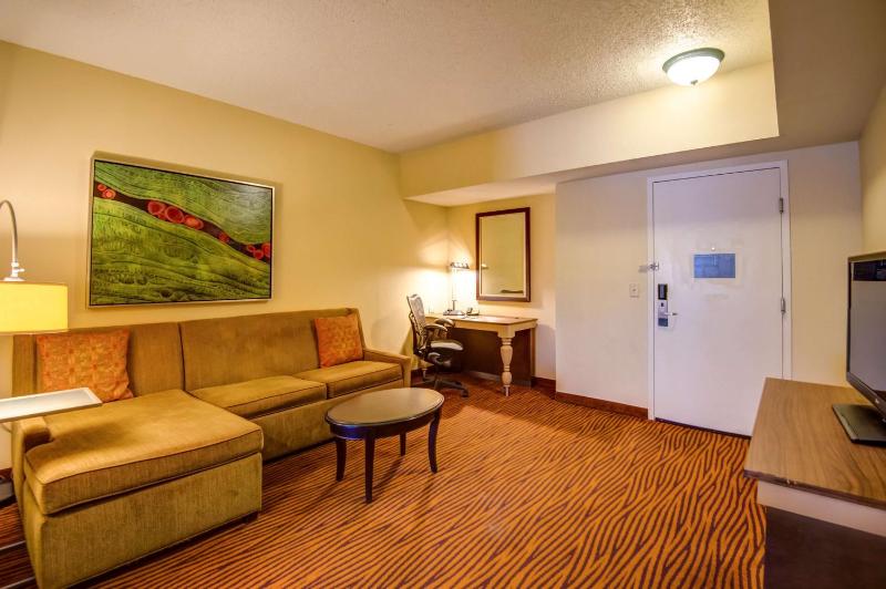 Hilton Garden Inn Tampa Ybor Historic District - image 25