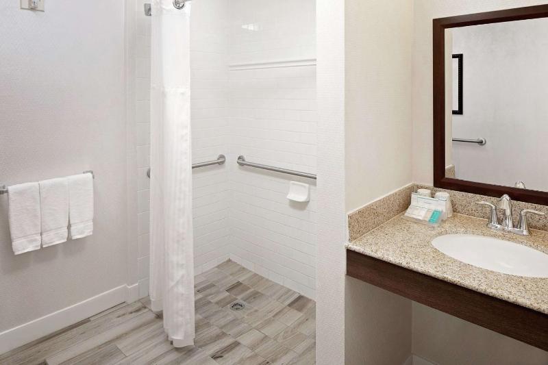 Hilton Garden Inn Tampa Ybor Historic District - image 3