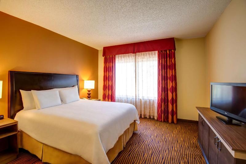 Hilton Garden Inn Tampa Ybor Historic District - image 26
