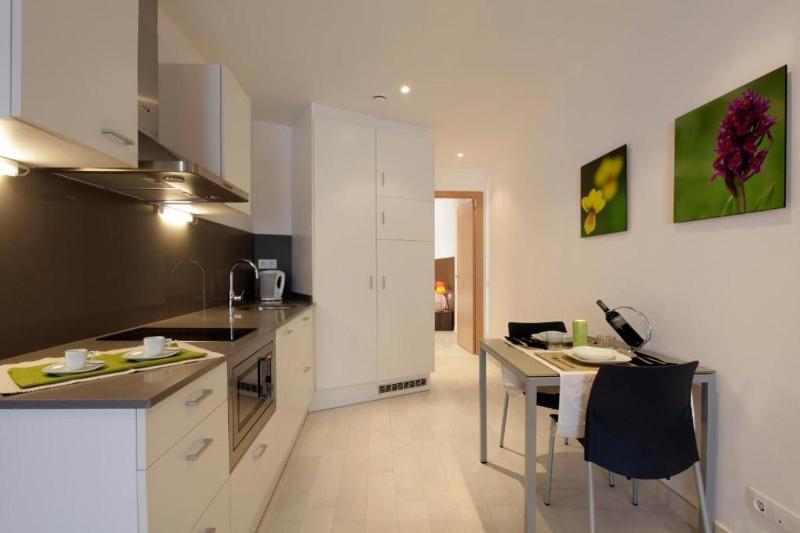 One-Bedroom Apartment image 4