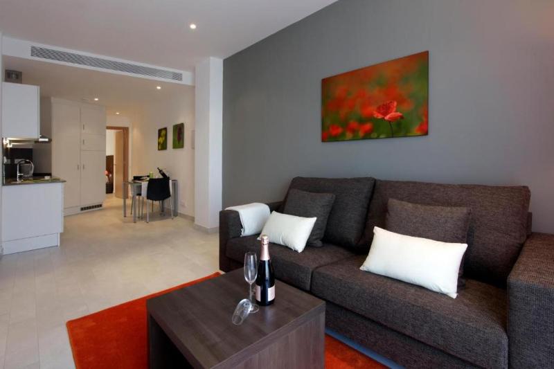 One-Bedroom Apartment image 3