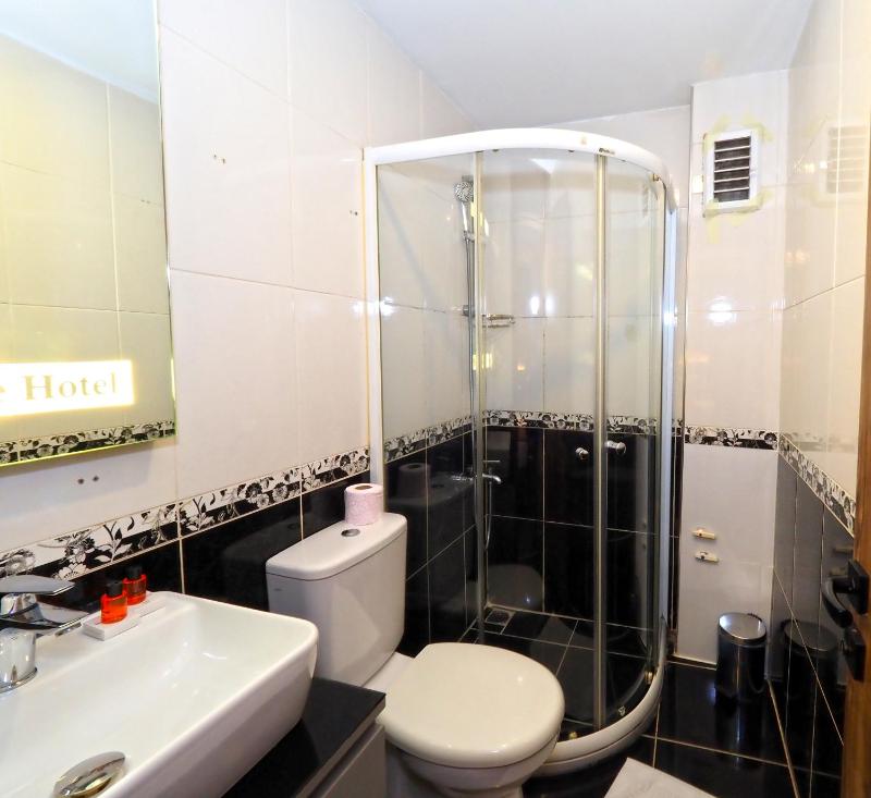 Large Single Room image 2