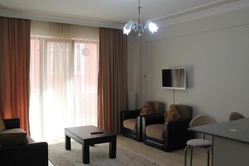 One-Bedroom Apartment image 4