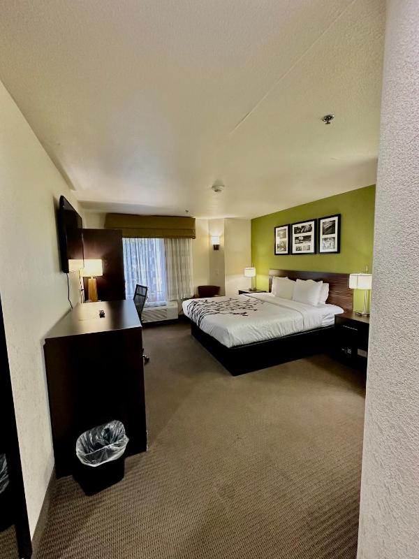 King Room image 3