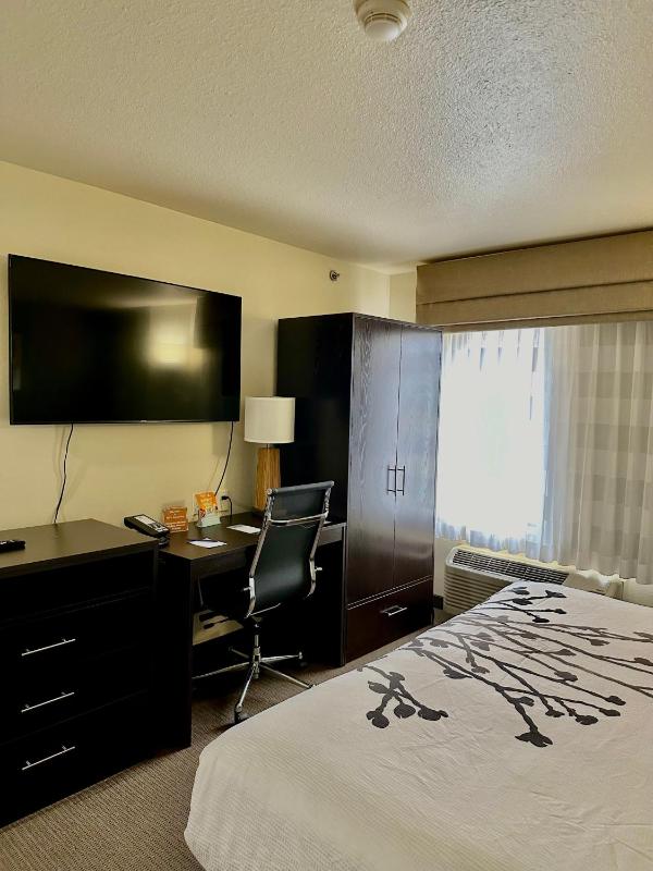 King Suite image 3