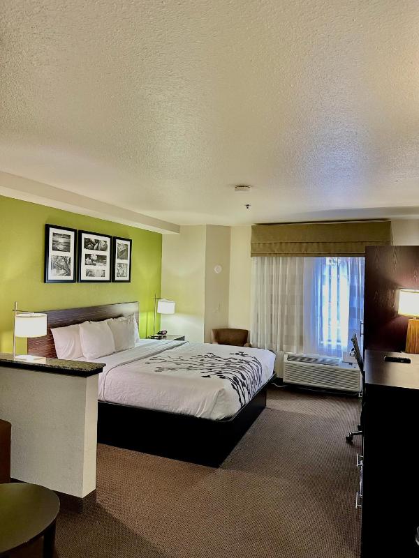 Standard King Suite image 2