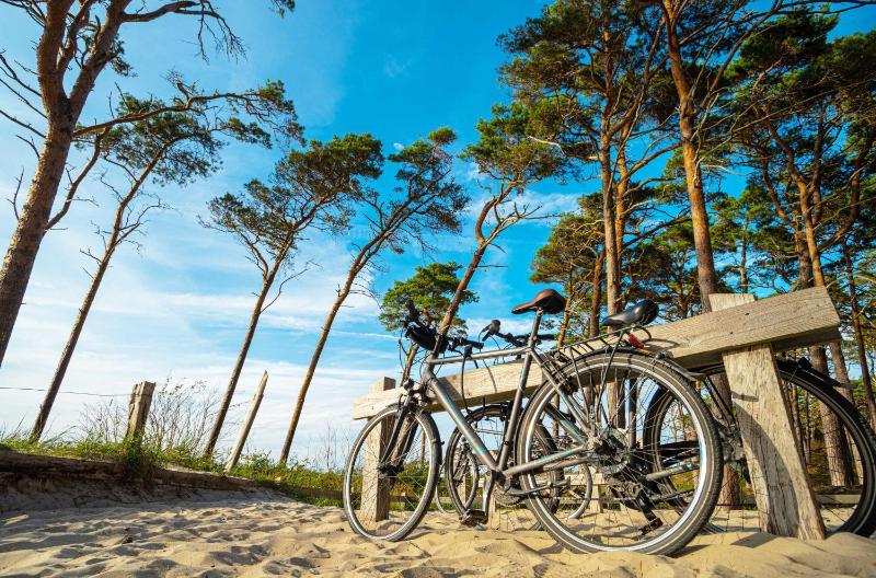 5-Sterne-Ferienwohnung Ostseeglück Zingst inklusive Strandkorb von Mai-September - image 20