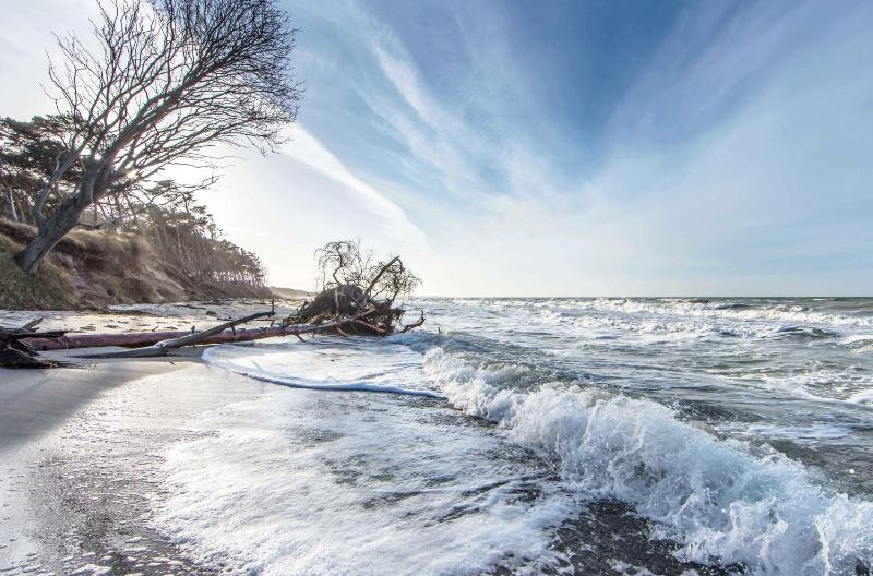 5-Sterne-Ferienwohnung Ostseeglück Zingst inklusive Strandkorb von Mai-September - image 18