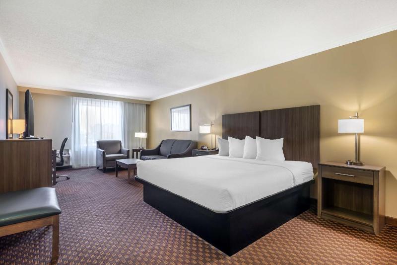 King Room image 2