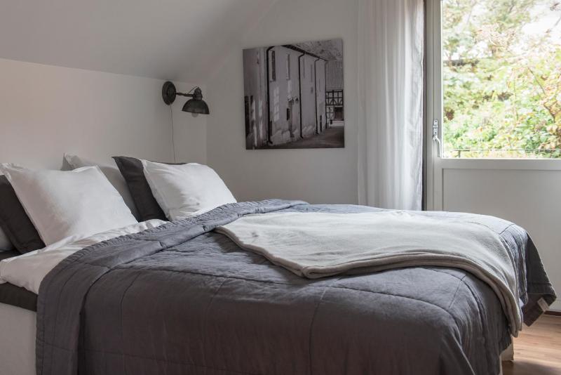 Large One-Bedroom Apartment image 1