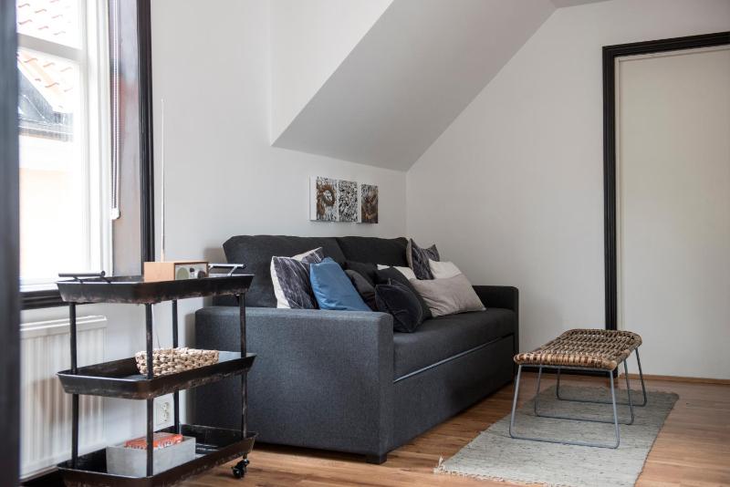 Large One-Bedroom Apartment image 4