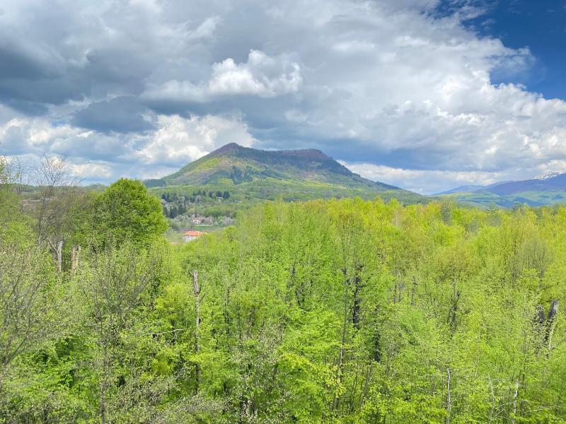 Family Room with Mountain View image 2
