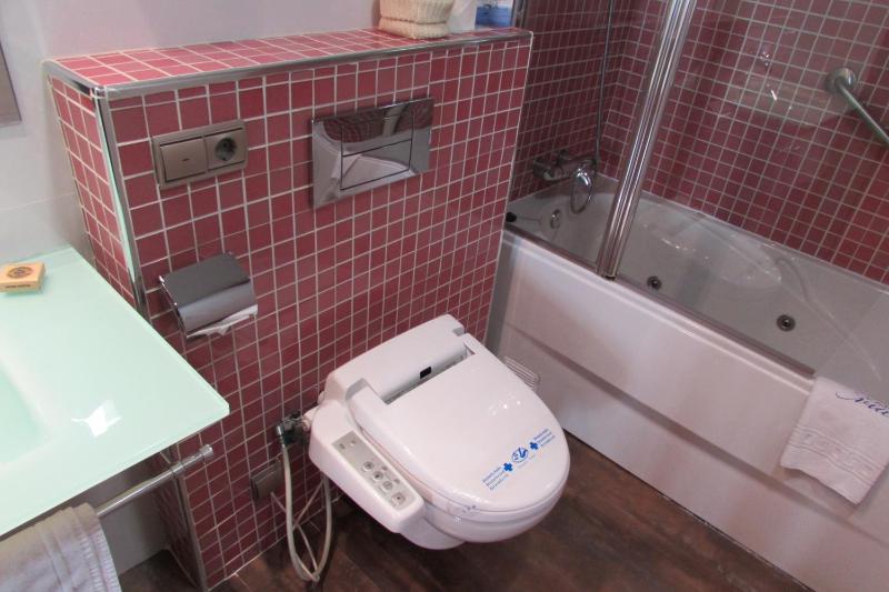 Superior Suite image 3