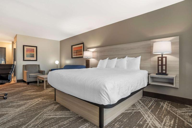 King Suite - Disability Access image 4
