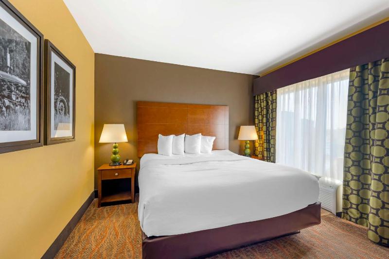 King Suite with Sofa Bed - Non-Smoking image 2