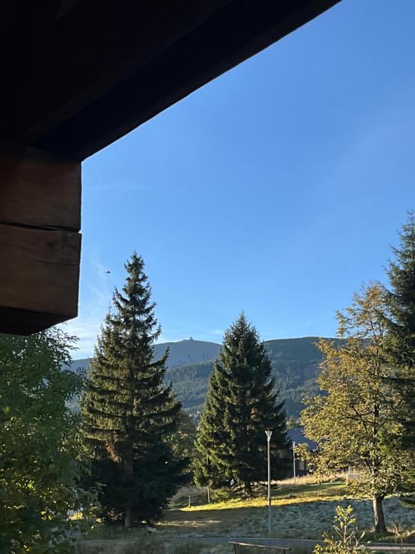 Superior Cottage with Sauna image 2