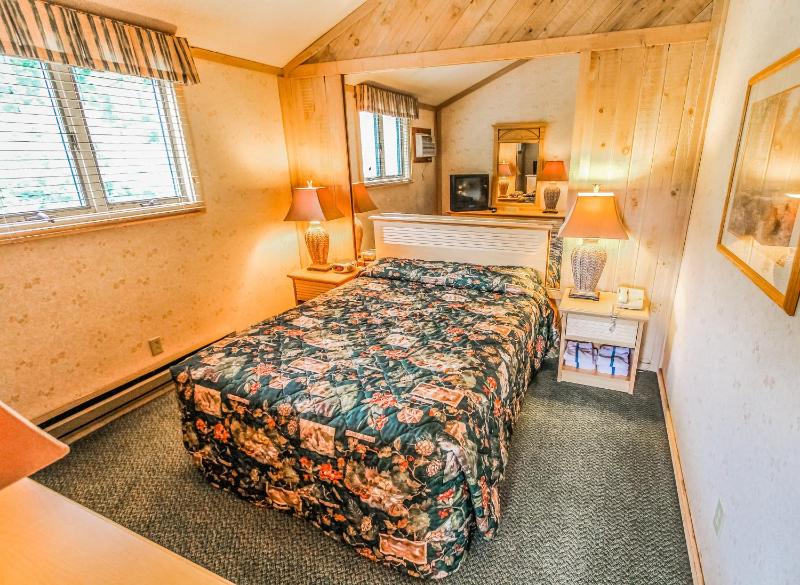 One-Bedroom Apartment image 2