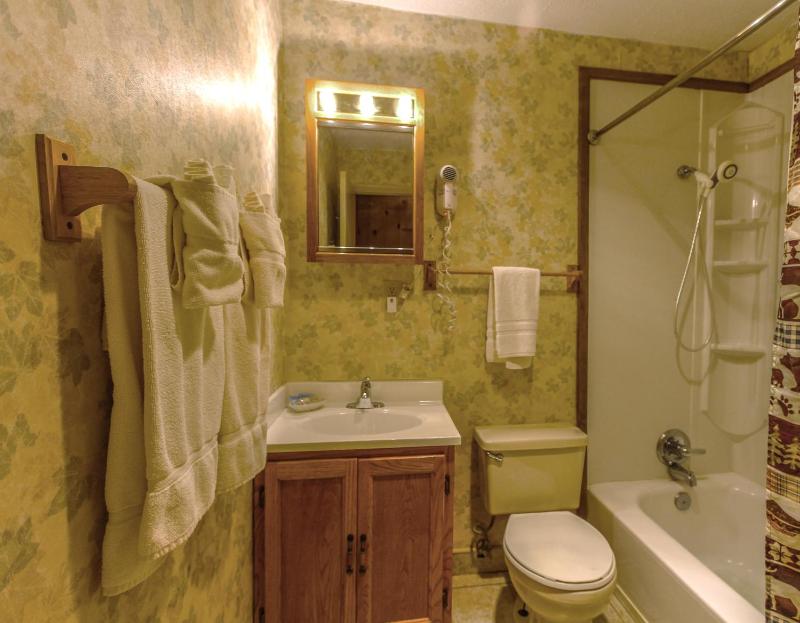 Two-Bedroom Apartment image 3
