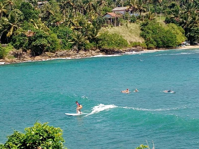 Surf Paradise - image 13