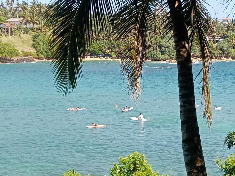 Surf Paradise - image 41