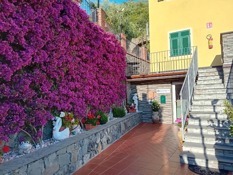 B&B Vignola - image 8