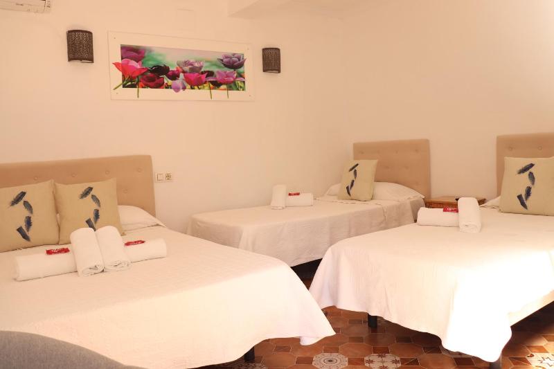 Hostal La Paloma I - image 10