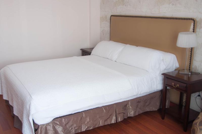Two-Bedroom Apartment - Penthouse (4 Adults) image 2