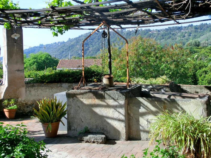 Apartment with Garden View image 1
