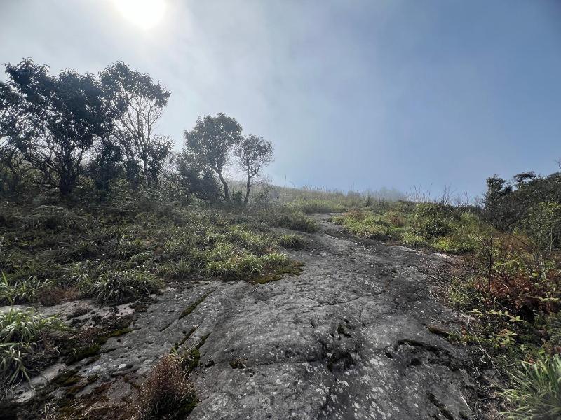AIEM Moc Chau - image 4