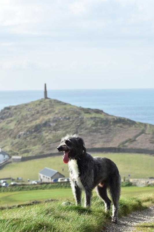 Cape Cornwall Club - image 10