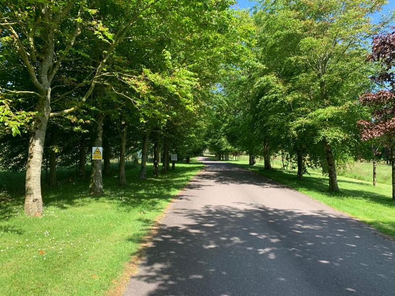 Fernhill Lodge Carrigaline - image 13