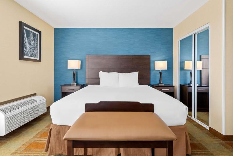 King Suite image 4