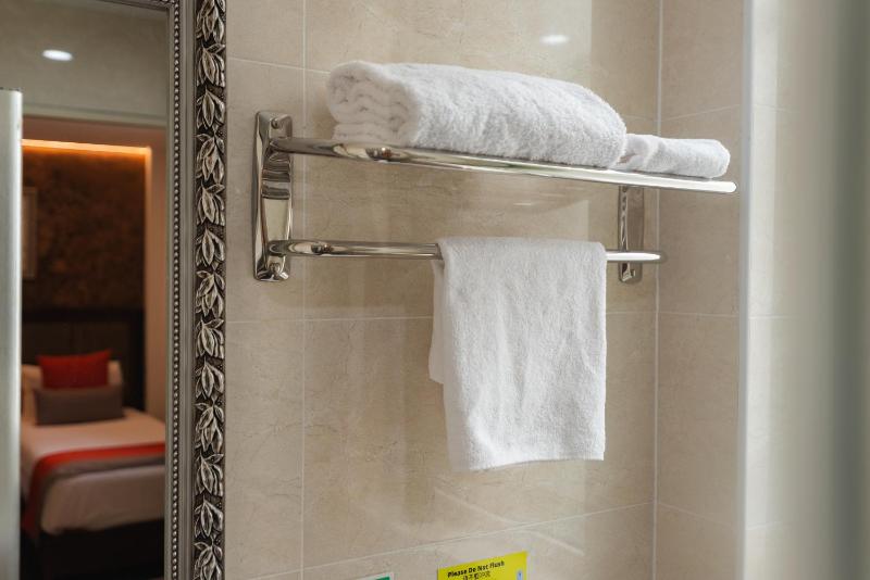 Standard Single Room image 2