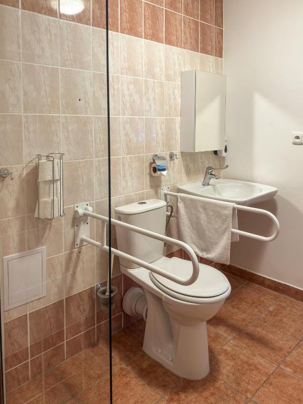 King Room with Roll-In Shower - Disability Access image 4