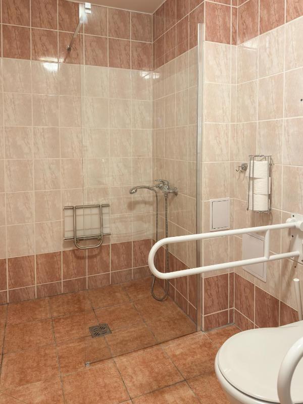 King Room with Roll-In Shower - Disability Access image 3