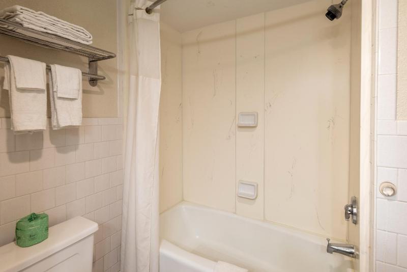 Deluxe King Suite image 1