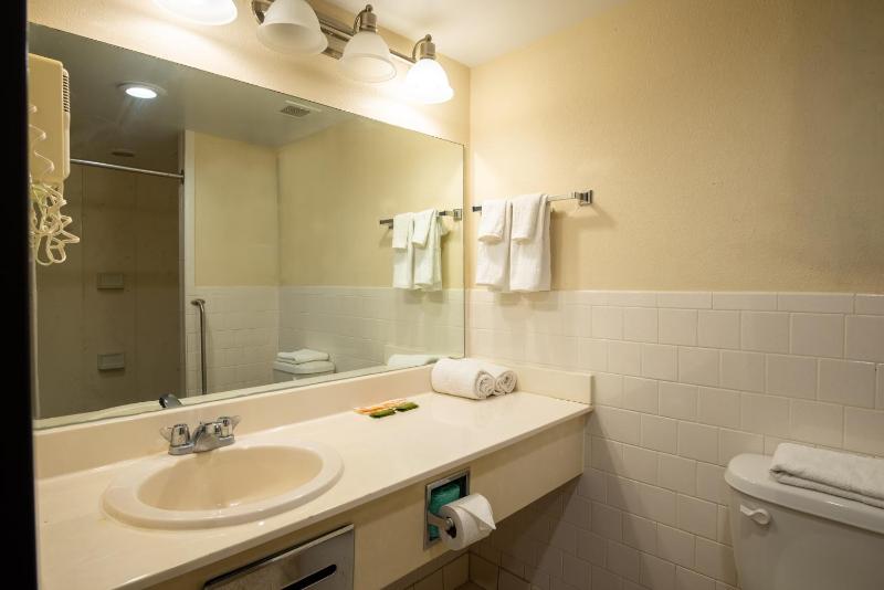 Deluxe Single Room image 1