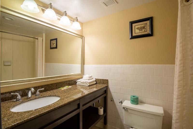 Deluxe Double Room image 4
