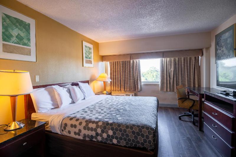 Deluxe King Suite image 4