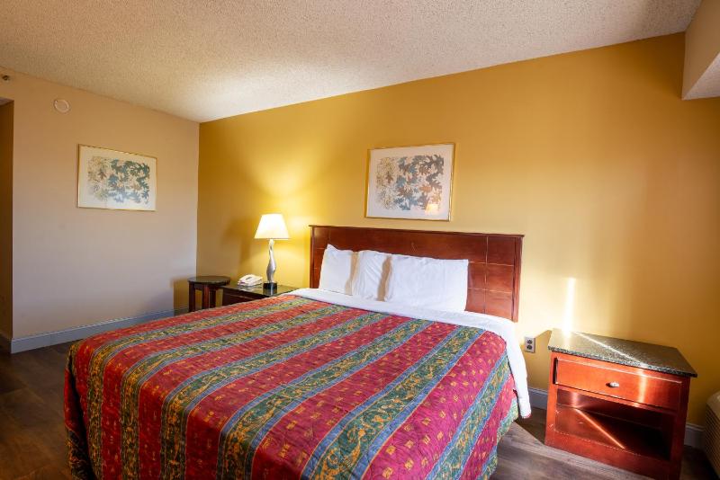 Deluxe King Suite image 2