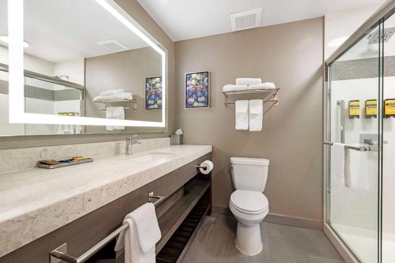 King Suite - Non-Smoking image 3