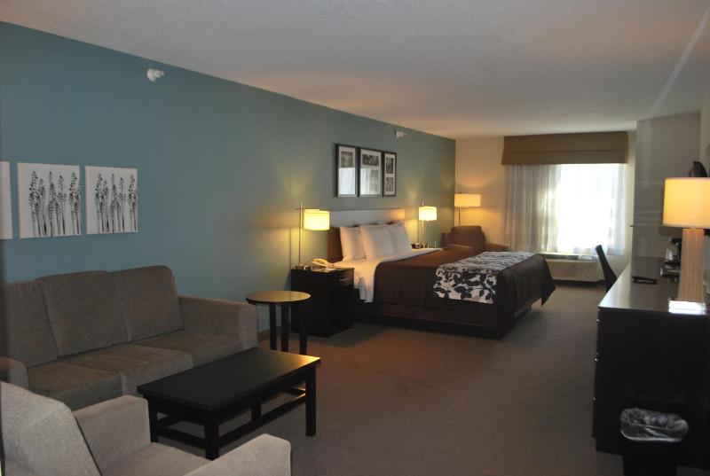 Standard King Room image 2