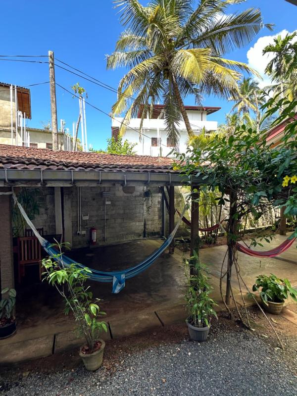 The Calm Palm - image 36