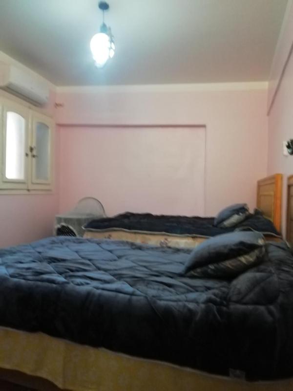 Panda House - image 5