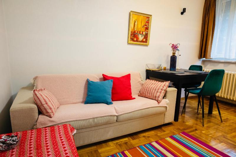 One-Bedroom Apartment image 3