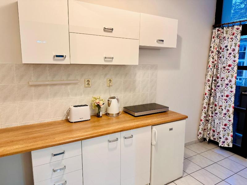 Two-Bedroom Apartment with Balcony image 4